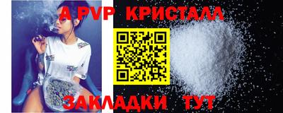 крисы Славгород