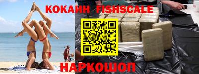 крисы Славгород