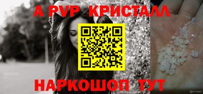 крисы Славгород