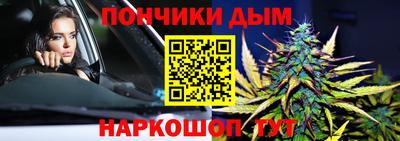 дурь Сланцы