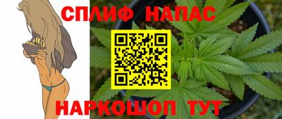 крисы Славгород