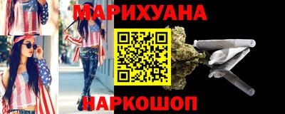 крисы Славгород