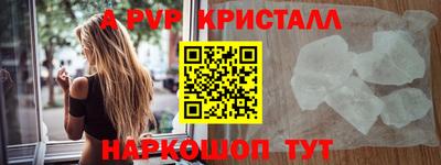 крисы Славгород