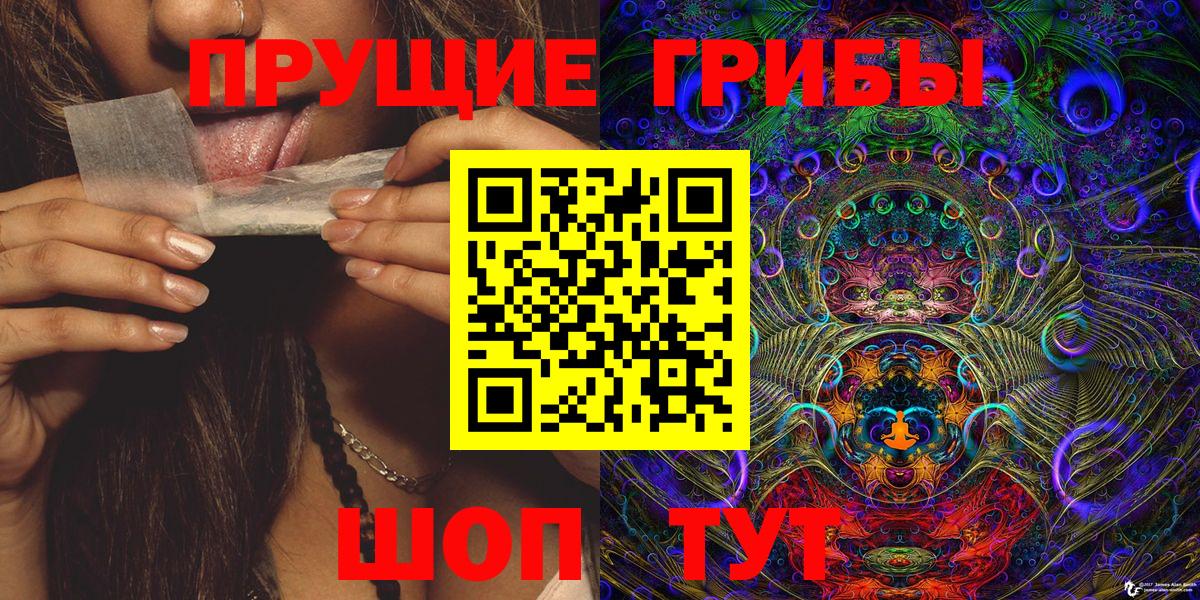 Кызыл  Галлюциногенные грибы Cubensis  Вход с VPN  сколько стоит  Галлюциногенные грибы прущие грибы 