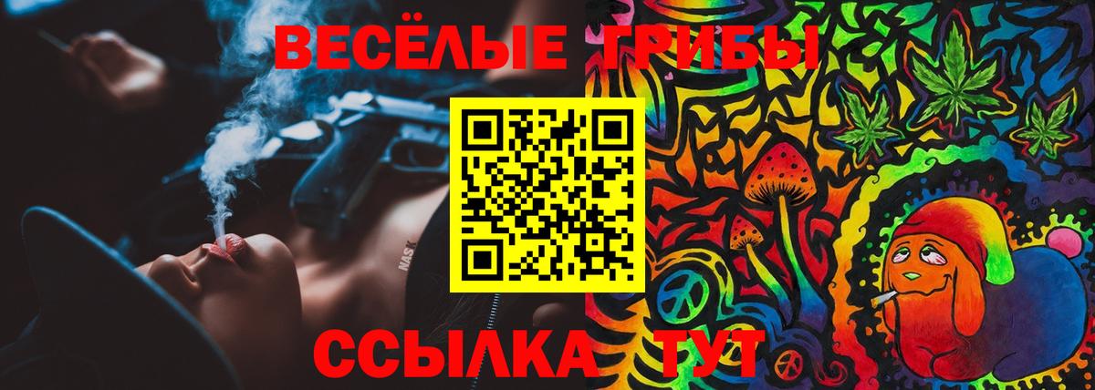 Псилоцибиновые грибы Psilocybine cubensis Кызыл